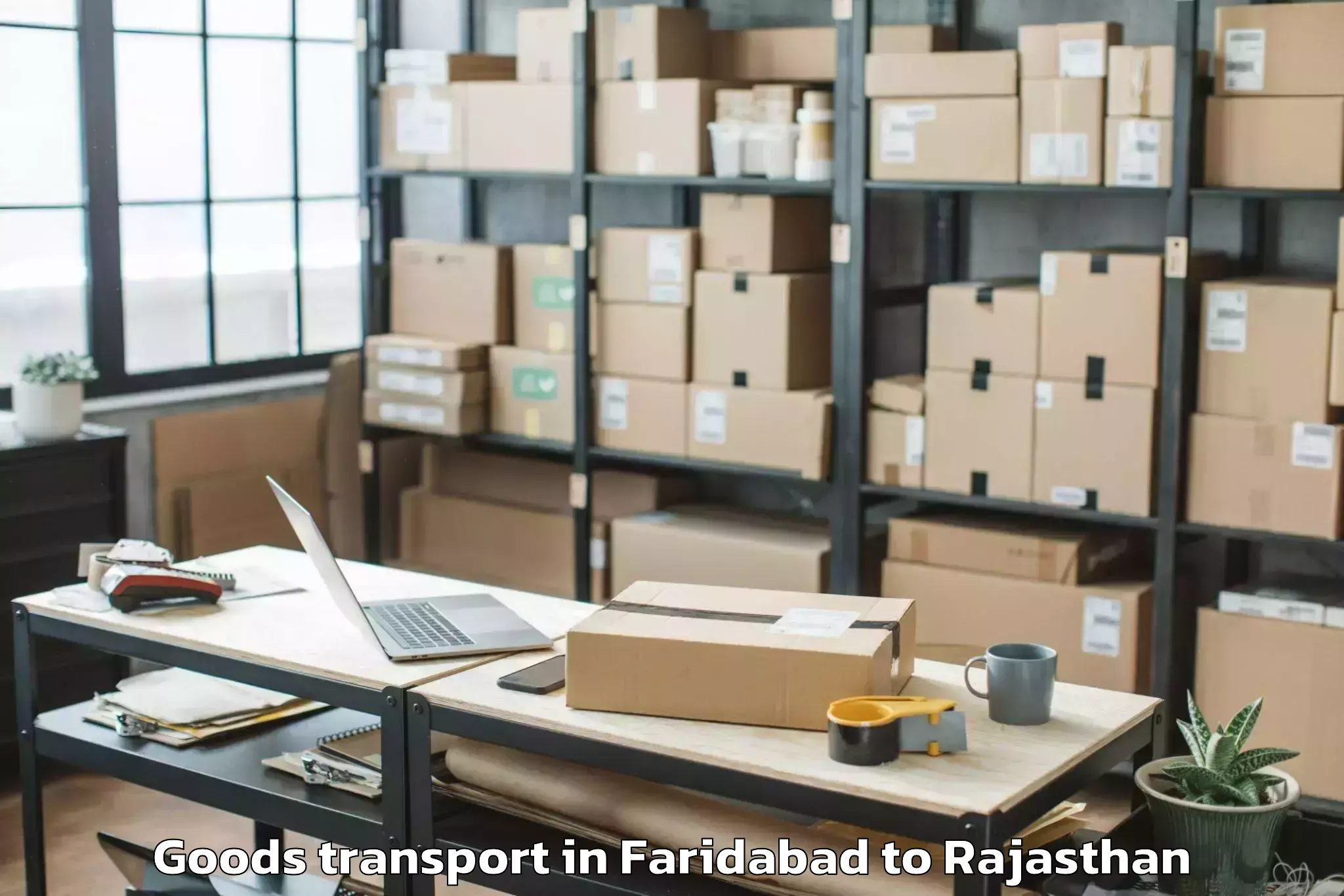 Professional Faridabad to Karauli Goods Transport